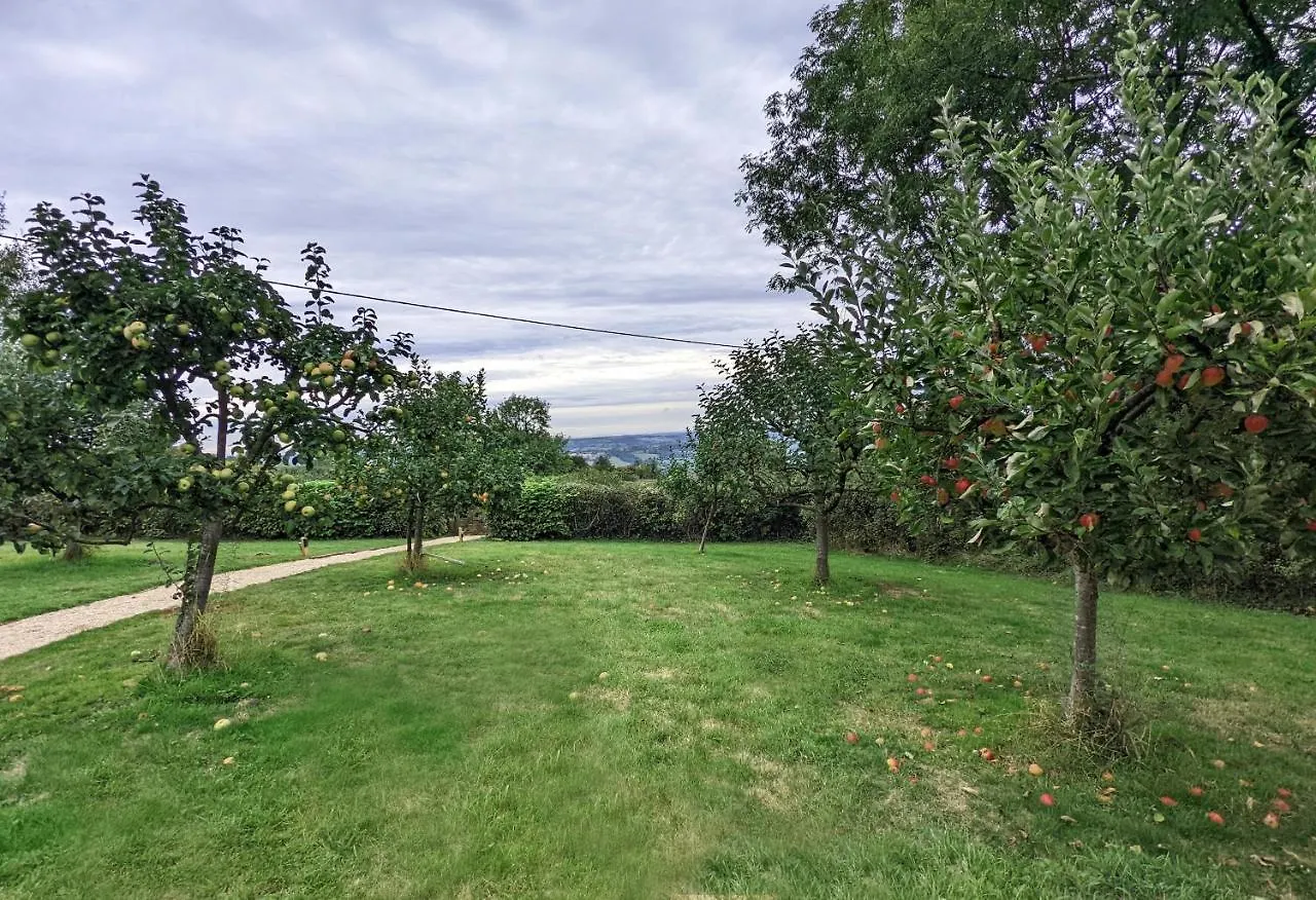 Luxury Shepherd'S Hut In Private Orchard W/Hot-Tub Bristol 0*,  United Kingdom